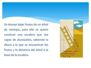 Se desean bajar frutos de un árbol

de naranjas, para ello se quiere
construir una escalera que sea
capaz de alcanzarlos, sabiendo la
altura a la que se encuentran los
frutos y la distancia del árbol a la
base de la escalera.

 