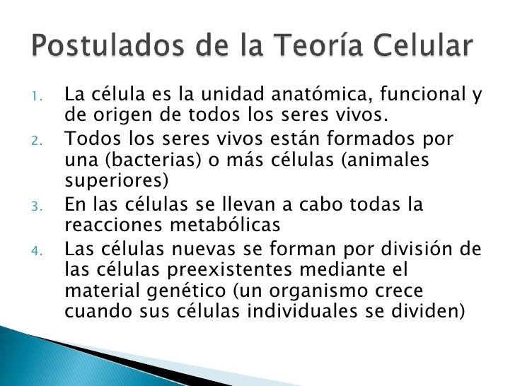Cuales Son Los Cuatro Postulados De La Teoria Celular Consejos Celulares