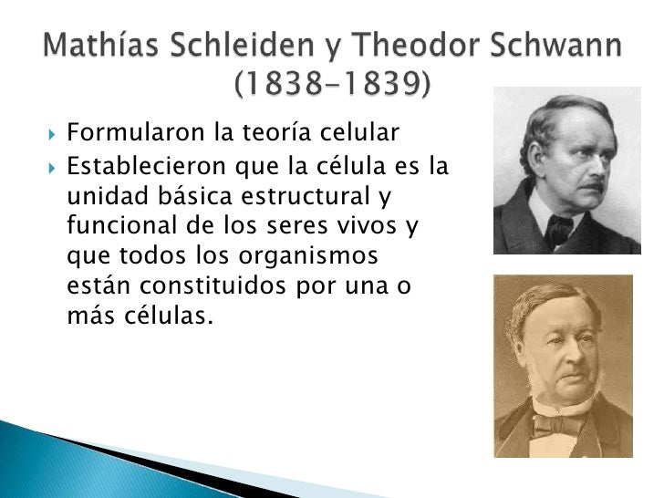 A Teoria Celular Proposta Por Schleiden E Schwann Afirma Que
