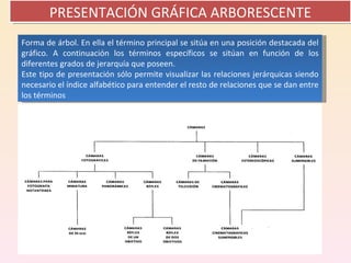PRESENTACIÓN GRÁFICA ARBORESCENTE Forma de árbol. En ella el término principal se sitúa en una posición destacada del gráfico. A continuación los términos específicos se sitúan en función de los diferentes grados de jerarquía que poseen. Este tipo de presentación sólo permite visualizar las relaciones jerárquicas siendo necesario el índice alfabético para entender el resto de relaciones que se dan entre los términos 