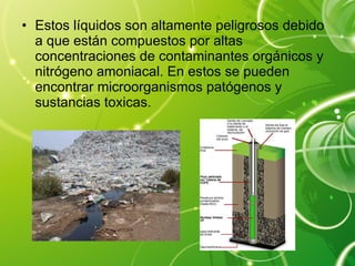 Estos líquidos son altamente peligrosos debido a que están compuestos por altas concentraciones de contaminantes orgánicos y nitrógeno amoniacal. En estos se pueden encontrar microorganismos patógenos y sustancias toxicas. 
