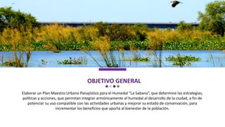 OBJETIVO GENERAL
Elaborar un Plan Maestro Urbano Paisajístico para el Humedal “La Sabana”, que determine las estrategias,
políticas y acciones, que permitan integrar armónicamente el humedal al desarrollo de la ciudad, a fin de
potenciar su uso compatible con las actividades urbanas y mejorar su estado de conservación, para
incrementar los beneficios que aporta al bienestar de la población.
 