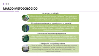 ¿Cómo abordar el estudio del humedal “La Sabana”? qué parámetros
son necesarios para comprender su funcionamiento natural, ecológico,
así como sus funciones urbanas y paisajísticas del lugar
¿Cuál es la relación de la ciudad con el humedal, qué impactos
se han generado en el lugar y cuál es la percepción de la
ciudadanía con su paisaje?
¿Qué regulaciones existen sobre sobre el humedal, para su
cuidado y protección, y cuáles son las directrices del desarrollo
urbano?
¿Cómo se puede coadyuvar al crecimiento urbano, en cuanto a
conectividad y movilidad, y qué elementos permitirán una
mayor integración de uso con respecto del humedal y las
actividades urbanas?
MARCO METODOLÓGICO
La teoría y el método
El crecimiento urbano y su impacto sobre el humedal
Instrumentos normativos y regulatorios
La integración Paisajística y urbana
 
