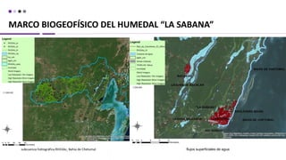 MARCO BIOGEOFÍSICO DEL HUMEDAL “LA SABANA”
subcuenca hidrográfica RH33Ac, Bahía de Chetumal flujos superficiales de agua
 