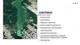 CONTENIDO
• INTRODUCCIÓN
• ANTECEDENTES
• PROBLEMA Y OBJETIVOS
• MARCO TEÓRICO Y CONCEPTUAL
• PROCEDIMIENTO Y METODOLOGÍA
• CARACTERIZACIÓN
• DIAGNÓSTICO INTEGRADO
• LINEAMIENTOS AMBIENTALES, URBANOS,
PAISAJÍSTICOS Y SOCIALES PARA LA SABANA
• PLAN MAESTRO
 