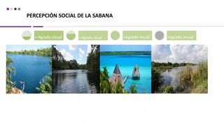 PERCEPCIÓN SOCIAL DE LA SABANA
> Agrado visual < Agrado visual >Agrado visual <agrado visual
 