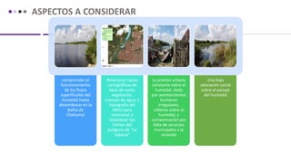 comprender el
funcionamiento
de los flujos
superficiales del
humedal hasta
desembocar en la
Bahía de
Chetumal
Relacionar capas
cartográficas de
tipos de suelo,
vegetación,
cuerpos de agua, y
topografía del
INEGI para
reconocer y
establecer los
límites del
polígono de “La
Sabana”
La presión urbana
constante sobre el
humedal, dado
por asentamientos
humanos
irregulares,
rellenos sobre el
humedal, y
contaminación por
falta de servicios
municipales a la
vivienda
Una baja
valoración social
sobre el paisaje
del humedal
ASPECTOS A CONSIDERAR
 