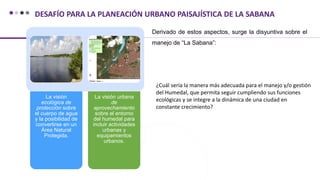 ¿Cuál sería la manera más adecuada para el manejo y/o gestión
del Humedal, que permita seguir cumpliendo sus funciones
ecológicas y se integre a la dinámica de una ciudad en
constante crecimiento?
La visión
ecológica de
protección sobre
el cuerpo de agua
y la posibilidad de
convertirse en un
Área Natural
Protegida.
La visión urbana
de
aprovechamiento
sobre el entorno
del humedal para
incluir actividades
urbanas y
equipamientos
urbanos.
DESAFÍO PARA LA PLANEACIÓN URBANO PAISAJÍSTICA DE LA SABANA
Derivado de estos aspectos, surge la disyuntiva sobre el
manejo de “La Sabana”:
 