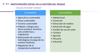 PARTICIPACIÓN SOCIAL EN LA GESTIÓN DEL PAISAJE
Compatibles
• Agricultura sustentable
• Pesca sustentable
• Turismo sustentable
• Hábitat y refugio para
fauna acuática, terrestre,
aves endémicas y
migratorias
• Restaurador de cuencas
hidrológicas (recarga de los
mantos freáticos)
• Regulación de la
temperatura ambiental
Incompatibles
• Habitacional
• Comercial
• Extracción de madera
• Extracción de agua
• Cambio de uso de suelo
• Turístico
• Agrícola
• Pecuario
• Industrial
Usos para el humedal “La Sabana”
 