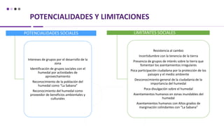 POTENCIALIDADES Y LIMITACIONES
POTENCIALIDADES SOCIALES
Intereses de grupos por el desarrollo de la
zona
Identificación de grupos sociales con el
humedal por actividades de
aprovechamiento
Reconocimiento de la población del
humedal como “La Sabana”
Reconocimiento del humedal como
proveedor de beneficios ambientales y
culturales
LIMITANTES SOCIALES
Resistencia al cambio
Incertidumbre con la tenencia de la tierra
Presencia de grupos de interés sobre la tierra que
fomentan los asentamientos irregulares
Poca participación ciudadana por la protección de los
paisajes y el medio ambiente
Desconocimiento general de la ciudadanía de la
importancia del humedal
Poca divulgación sobre el humedal
Asentamientos humanos en zonas inundables del
humedal
Asentamientos humanos con Altos grados de
marginación colindantes con “La Sabana”
 