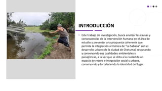INTRODUCCIÓN
• Este trabajo de investigación, busca analizar las causas y
consecuencias de la intervención humana en el área de
estudio y presentar una propuesta coherente que
permita la integración armónica de “La Sabana” con el
desarrollo urbano de la ciudad de Chetumal, rescatando
y conservando sus cualidades ambientales y
paisajísticas, a la vez que se dota a la ciudad de un
espacio de recreo e integración social y urbana,
conservando y fortaleciendo la identidad del lugar.
 
