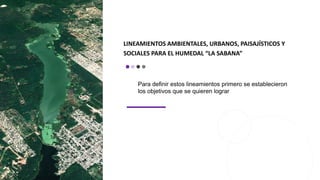 LINEAMIENTOS AMBIENTALES, URBANOS, PAISAJÍSTICOS Y
SOCIALES PARA EL HUMEDAL “LA SABANA”
Para definir estos lineamientos primero se establecieron
los objetivos que se quieren lograr
 