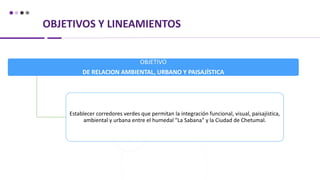 OBJETIVOS Y LINEAMIENTOS
OBJETIVO
DE RELACION AMBIENTAL, URBANO Y PAISAJÍSTICA
Establecer corredores verdes que permitan la integración funcional, visual, paisajística,
ambiental y urbana entre el humedal "La Sabana" y la Ciudad de Chetumal.
 