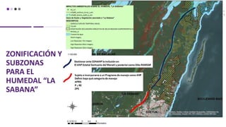 ZONIFICACIÓN Y
SUBZONAS
PARA EL
HUMEDAL “LA
SABANA”
 