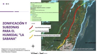 ZONIFICACIÓN Y
SUBZONAS
PARA EL
HUMEDAL “LA
SABANA”
Reglamento de la Ley General del Equilibrio
Ecológico y la Protección al Ambiente en materia de
Áreas Naturales Protegidas
 