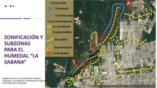ZONIFICACIÓN Y
SUBZONAS
PARA EL
HUMEDAL “LA
SABANA”
Reglamento de la Ley General del Equilibrio
Ecológico y la Protección al Ambiente en materia de
Áreas Naturales Protegidas
 