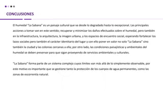 CONCLUSIONES
El humedal “La Sabana” es un paisaje cultural que va desde lo degradado hasta lo excepcional. Las principales
acciones a tomar van en este sentido; recuperar y minimizar los daños efectuados sobre el humedal, pero también
en la infraestructura, la arquitectura, la imagen urbana, y los espacios de encuentro social, esperando fortalecer los
lazos sociales pero también el carácter identitario del lugar y con ello poner en valor no solo “La Sabana” sino
también la ciudad y las colonias cercanas a ella; por otro lado, las condiciones paisajísticas y ambientales del
humedal se deben preservar para que sigan proveyendo de servicios ambientales y culturales.
“La Sabana” forma parte de un sistema complejo cuyos límites van más allá de lo simplemente observable, por
este motivo es importante que se gestione tanto la protección de los cuerpos de agua permanentes, como las
zonas de escorrentía natural.
 