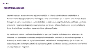 RECOMENDACIONES
Abordar el estudio de los humedales requiere reconocer no solo las cualidades físicas sino también el
funcionamiento de su propia dinámica hidrológica, y otros conocimientos que se escapan a los alcances de esta
tesis, para lo cual se requiere de un equipo de trabajo en las áreas de geografía, biología, edafología, sociología,
urbanismo, y los propios de paisajismo y arquitectura; por lo que a falta de ellos tenemos como resultado una
breve descripción del humedal en sus características más superficiales.
Un estudio más extenso y profundo deberá incluir la participación de las profesiones antes señaladas, y de
involucrar a la sociedad en su conjunto, pero particularmente a los habitantes de las colonias adyacentes al
humedal; así mismo contar con la participación de las autoridades en todo el proceso, y que en la toma de
decisiones queden contempladas todas las aspiraciones y todos los intereses posibles, para llevar a buen término
un proyecto de esta magnitud.
 