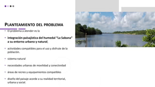 PLANTEAMIENTO DEL PROBLEMA
• El problema a atender es la
• integración paisajística del humedal “La Sabana”
a su entorno urbano y natural,
• actividades compatibles para el uso y disfrute de la
población.
• sistema natural
• necesidades urbanas de movilidad y conectividad
• áreas de recreo y equipamientos compatibles
• diseño del paisaje acorde a su realidad territorial,
urbana y social.
 