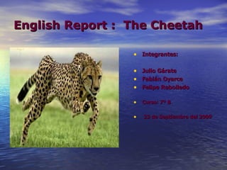 English Report :  The Cheetah ,[object Object],[object Object],[object Object],[object Object],[object Object],[object Object]