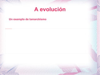 A evolución Un exemplo de lamarckismo 