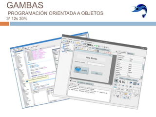 GAMBAS
PROGRAMACIÓN ORIENTADA A OBJETOS
3ª 12s 30%
 