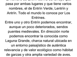 El nombre de Entrín deriva del arroyo que
 pasa por ambas lugares y que tiene varios
    nombres, el de Entrín Verde, Lentrín y
  Antrín. Todo el mundo lo conoce por Los
                  Entrines.
 Entre uno y otro Entrín podemos encontrar,
    aunque un poco deteriorados, sendos
   puentes medievales. En dirección norte
    podemos encontrar la conocida como
 Laguna Grande, charca natural ubicada en
     un entorno paisajístico de auténtica
relevancia y de valor ecológico como hábitat
 de garzas y otra amplia variedad de aves.
 