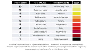 Cuando el cabello se aclara, los pigmentos de eumelanina y feomelanina se decoloran y el cabello pasa por
diferentes etapas de aclarado. Los colores que se muestran durante este proceso se producen de forma progresiva y
juegan un papel muy importante en los servicios de coloración.
 