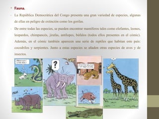 • Fauna.
- La República Democrática del Congo presenta una gran variedad de especies, algunas
de ellas en peligro de extinción como los gorilas.
- De entre todas las especies, se pueden encontrar mamíferos tales como elefantes, leones,
leopardos, chimpancés, jirafas, antílopes, búfalos (todos ellos presentes en el cómic).
Además, en el cómic también aparecen una serie de reptiles que habitan este país:
cocodrilos y serpientes. Junto a estas especies se añaden otras especies de aves y de
insectos.
 