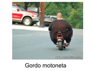 Gordo motoneta
 