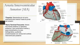 Anatomía y Fisiología de la Vascularización Coronaria del Corazón | PPTX