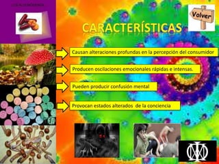Causan alteraciones profundas en la percepción del consumidor
Producen oscilaciones emocionales rápidas e intensas.
Pueden producir confusión mental
Provocan estados alterados de la conciencia
 