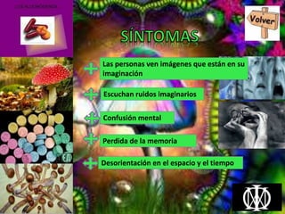 Las personas ven imágenes que están en su
imaginación
Escuchan ruidos imaginarios
Confusión mental
Perdida de la memoria
Desorientación en el espacio y el tiempo
 
