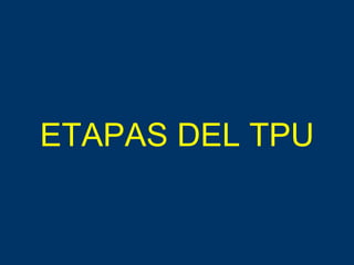ETAPAS DEL TPU 