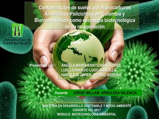 Docente: JORGE WILLIAM ARBOLEDA VALENCIA
MAESTRÍA EN DESARROLLO SOSTENIBLE Y MEDIO AMBIENTE
COHORTE XVI -2017
MODULO: BIOTECONOLOGIA AMBIENTAL
Contaminación de suelos por Hidrocarburos
Aromáticos Policiclicos en Colombia y
Biorremediacion como estrategia biotecnológica
de su recuperación
Presentado por: ÁNGELA MARÍA ARISTIZABAL LÓPEZ
LUIS LEONARDO LUGO MANCILLA
HAROLD O JAVIER OROBIO ROSERO
 