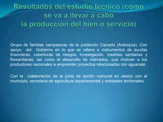 Grupo de familias campesinas de la población Caicedo (Antioquia). Con
apoyo del Gobierno en lo que se refiere a instrumentos de ayudas
financieras, coberturas de riesgos, investigación, medidas sanitarias y
fitosanitarias, así como el desarrollo de mercados, que motiven a los
productores nacionales a emprender proyectos relacionados con aguacate.
Con la colaboración de la junta de acción comunal en asocio con el
municipio, secretaria de agricultura departamental y entidades territoriales.
 