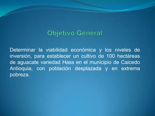 Determinar la viabilidad económica y los niveles de
inversión, para establecer un cultivo de 100 hectáreas
de aguacate variedad Hass en el municipio de Caicedo
Antioquia, con población desplazada y en extrema
pobreza.
 