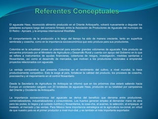 El aguacate Hass, reconocido alimento producido en el Oriente Antioqueño, volverá nuevamente a degustar los
paladares europeos luego del convenio firmado entre la Asociación de Productores de Aguacate del municipio de
El Retiro - Aproare, y la empresa internacional Westfalia.
El comportamiento de la producción a lo largo del tiempo ha sido de manera creciente, tanto en superficie
sembrada y cosecha, como en la importancia socioeconómica que esto produce para sus productores.
Colombia en la actualidad posee un potencial para exportar grandes volúmenes de aguacate. Este producto se
encuentra priorizado por el Ministerio de Agricultura y Desarrollo Rural y cuenta con apoyo del Gobierno en lo que
se refiere a instrumentos de ayudas financieras, coberturas de riesgos, investigación, medidas sanitarias y
fitosanitarias, así como el desarrollo de mercados, que motiven a los productores nacionales a emprender
proyectos relacionados con aguacate.
La ventaja comparativa que presenta Colombia en el rendimiento del cultivo, a nivel mundial, lo hace
productivamente competitivo. Esto le exige al país, fortalecer la calidad del producto, los procesos de cosecha,
poscosecha y el mejoramiento en el control fitosanitario.
Desde la Secretaría de Agricultura de Antioquia se informó que en los próximos días estará saliendo hacia
Europa un contenedor cargado con 20 toneladas de aguacate Hass, producido en su totalidad por campesinos
del Oriente y Occidente de Antioqueño.
La importancia socioeconómica del aguacate se deriva del beneficio que derrama entre productores,
comercializadores, industrializadores y consumidores. Los huertos generan empleo al demandar mano de obra
para las podas, lo riegos y el cuidado nutritivo y fitosanitarios, la cose-cha, el acarreo, la selección, el empaque, el
traslado, el mercado y las ventas. Para México tiene importancia estratégica en la agricultura na-cional, en virtud
de que nuestro país es el primer productor a nivel mun-dial, y es también el más importante exportador.
 