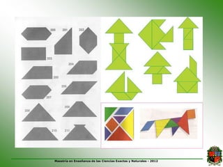 Maestría en Enseñanza de las Ciencias Exactas y Naturales - 2012
 