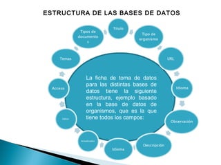  

ESTRUCTURA DE LAS BASES DE DATOS

La ficha de toma de datos
para las distintas bases de
datos tiene la siguiente
estructura, ejemplo basado
en la base de datos de
organismos, que es la que
tiene todos los campos:

 