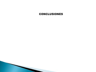 CONCLUSIONES

 