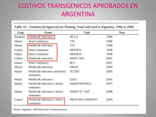 CULTIVOS TRANSGENICOS APROBADOS EN
             ARGENTINA
 