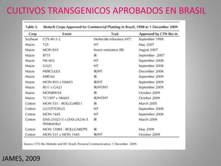 CULTIVOS TRANSGENICOS APROBADOS EN BRASIL




JAMES, 2009
 