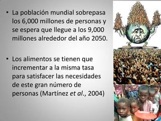 • La población mundial sobrepasa
  los 6,000 millones de personas y
  se espera que llegue a los 9,000
  millones alrededor del año 2050.

• Los alimentos se tienen que
  incrementar a la misma tasa
  para satisfacer las necesidades
  de este gran número de
  personas (Martínez et al., 2004)
 