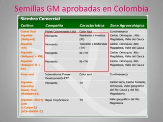 Semillas GM aprobadas en Colombia
 