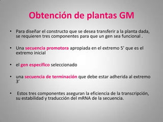 Obtención de plantas GM
• Para diseñar el constructo que se desea transferir a la planta dada,
  se requieren tres componentes para que un gen sea funcional .

• Una secuencia promotora apropiada en el extremo 5’ que es el
  extremo inicial

• el gen específico seleccionado

• una secuencia de terminación que debe estar adherida al extremo
  3’

•    Estos tres componentes aseguran la eficiencia de la transcripción,
    su estabilidad y traducción del mRNA de la secuencia.
 