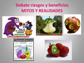 Debate riesgos y beneficios
  MITOS Y REALIDADES
 