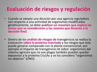 Evaluación de riesgos y regulación
• Cuando se adopte una decisión por una agencia reguladora
  con respecto a una actividad de organismos modificados
  genéticamente, se debe publicar un resumen que explica los
  temas que se consideraron y las razones que llevaron a la
  decisión final.

• Dentro de los análisis de riesgos de transgénicos se realiza la
  evaluación sobre la proteína insertada y los riesgos que esta
  puede generar comparado con la planta convencional, por
  ejemplo el impacto de transgénicos bt sobre organismos del
  sistema agrícola que no son plagas también pueden quedar
  expuestos a la proteína Cry1Ac y se los considera “organismos
  no objetivo” (ONO).
 