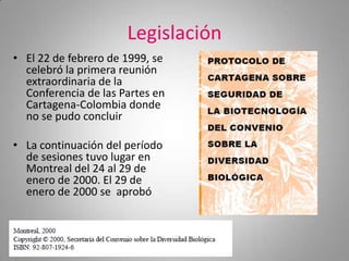 Legislación
• El 22 de febrero de 1999, se
  celebró la primera reunión
  extraordinaria de la
  Conferencia de las Partes en
  Cartagena-Colombia donde
  no se pudo concluir

• La continuación del período
  de sesiones tuvo lugar en
  Montreal del 24 al 29 de
  enero de 2000. El 29 de
  enero de 2000 se aprobó
 