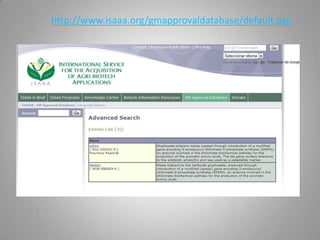 http://www.isaaa.org/gmapprovaldatabase/default.asp
 
